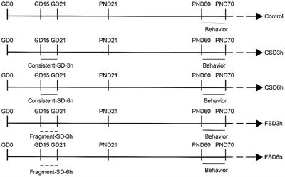 Altered cognition and anxiety in adolescent offspring whose mothers underwent different-pattern maternal sleep deprivation, and cognition link to hippocampal expressions of Bdnf and Syt-1